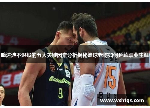 哈达迪不退役的五大关键因素分析揭秘篮球老将如何延续职业生涯
